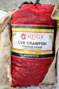 Home z6096217501326 bb9e9c0bdf85916ebdc29236f2706b7f